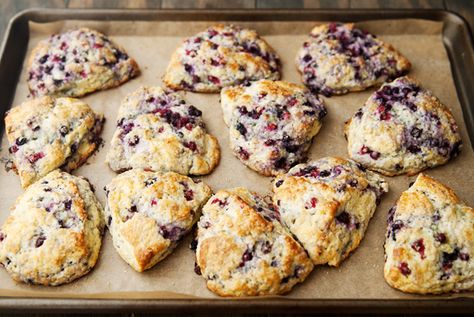 huckleberry scones recipe | use real butter Huckleberry Scones Recipe, Huckleberry Scones, 2025 Pregnancy, Huckleberry Recipes, Breakfast Pastry Recipes, Slipping Through My Fingers, Rock Cakes, Fruit Butters, Breakfast Scones