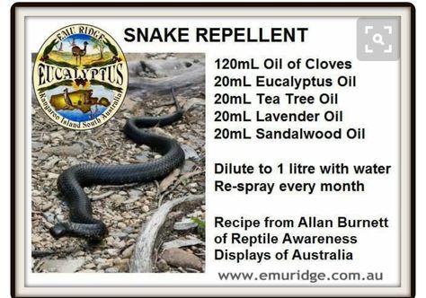 Snake Repellant, Snake Repellent, Backyard Trees, Dog House Diy, Natural Pest Control, Sandalwood Oil, Bug Repellent, Garden Pests, Yard Work