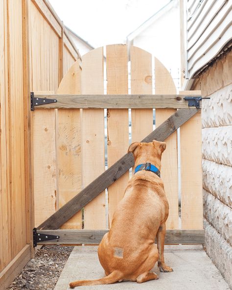 DIY Outdoor Gate - Yellow Brick Home Diy Outdoor Gate Ideas, Dog Gate Outdoor, Outdoor Pet Gate, Diy Dog Gate, Diy Gate, Tor Design, Diy Machine, Wooden Garden Gate, Fence And Gate