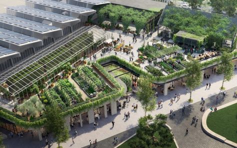 Walkable Community, Urban Heat Island, Mall Design, Roof Architecture, Centre Commercial, Sustainable Shopping, Rooftop Garden, Shopping Centre, Urban Farming