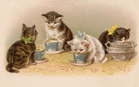 Tea with Kittens Cat Tea Party, Tea Party Invitations, Cat Drinking, Cat Cards, Cats Illustration, Vintage Cat, Cat Illustration, Vintage Postcard, Vintage Cards