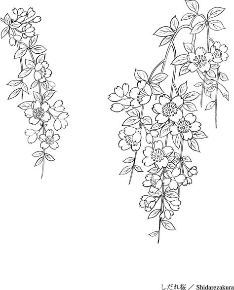 Bush Tattoo Design, Hanging Flower Drawing, Hanging Flowers Drawing, Flower Bush Drawing, Japanese Line Art, Line Drawing Plant, Nature Doodles, Bush Drawing, Poppy Coloring Page