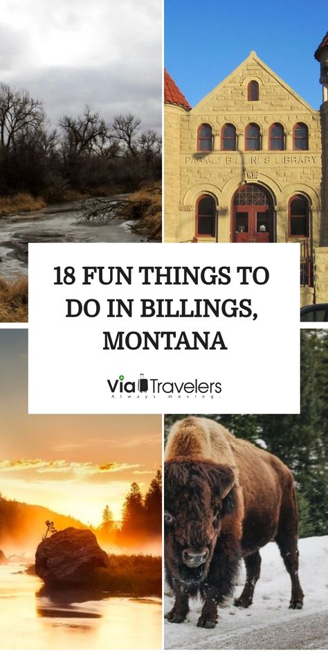 Check out our list of the best things to do in Billings! This city caters to multiple tastes from outdoor activities to shops and restaurants. Things To Do In Billings Montana, Billings Montana Things To Do In, Yellowstone River, Billings Montana, Indoor Waterpark, This City, Big Sky, Yellowstone National, Yellowstone National Park