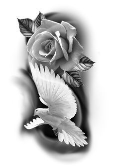 Rose And Dove Tattoo Design, Rose Dove Tattoo, Dove And Rose Tattoo, Pigeon Tattoo, Dove Tattoo Design, Realistic Rose Tattoo, Dove Tattoos, Rose Drawing Tattoo, Rose Hand Tattoo