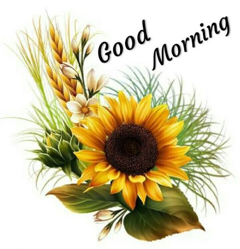 Good Morning Stickers, Good Morning Sunday Pictures, Morning Stickers, Whatsapp Good Morning, Morning Sister, Say Good Morning, Lovely Good Morning Images, Latest Good Morning, Good Morning Greeting Cards