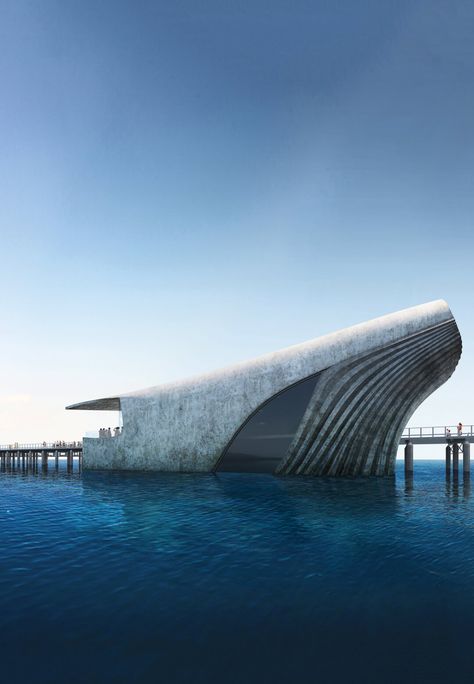 Baca Architects to build whale-shaped Australian Underwater Discovery Centre Whale Inspired Architecture, Pavillion Design Architecture, Whale Architecture, Underwater Architecture, Underwater Observatory, Imaginary Architecture, Underwater Restaurant, Sunshine Beach, Facade Architecture Design