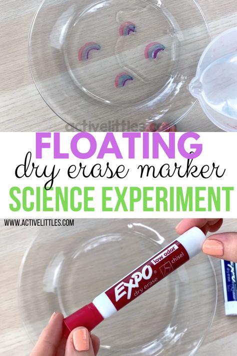 Floating Dry Erase Rainbow and Shapes Experiment   - Active Littles Activities For Kids Indoor, Steam Activities For Kids, Pre-k Science, Science For Toddlers, Experiments Kids, Science Week, Senses Activities, Preschool Science Activities, Summer Science