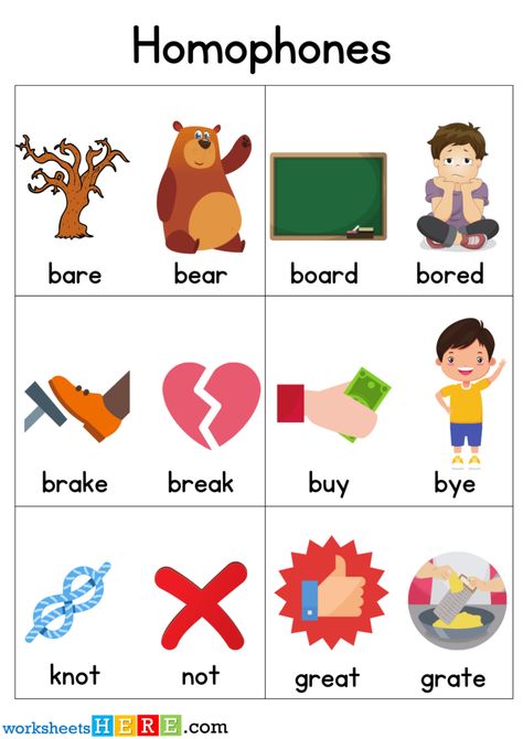 Homophones With Pictures, 100 Homophones Words Worksheets For Students and Kids - WorksheetsHere.com Homophones For Kids, English Homophones, Homonyms Words, Homophones Activity, Homophones Worksheets, Homophones Words, Teaching Literature, English Activities For Kids, Have Fun Teaching