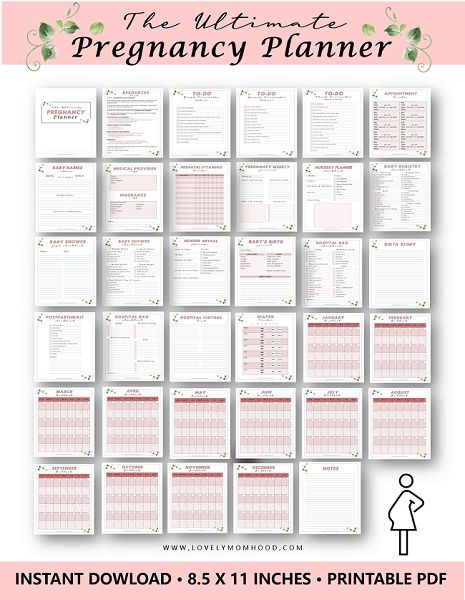 The Best Pregnancy Planner: Every Pregnancy Checklist You Need! There are a lot of things to get ready for during pregnancy. The Lovely Momhood printable Pregnancy Planner has all the pregnancy checklist (pre-filled) so that you don't worry about a thing! #pregnancy #pregnancyplanner #pregnancyprintables Pregnancy Journal Printable, Third Trimester Checklist, Postpartum Care Kit, Baby Shower Planner, Pregnancy Calendar, Pregnancy Tracker, Baby Planner, Pregnancy Checklist, Pregnancy Planner