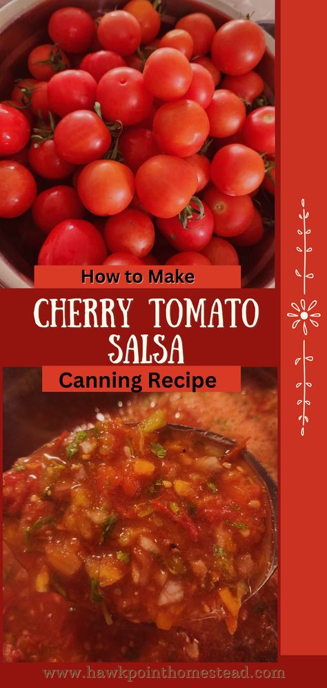 This cherry tomato salsa recipe for canning is so delicious and easy to make. It is so fun to make salsas and sauces from those pretty red cherry tomatoes. Just pop them in the food processor with the other ingredients and off you go. Makes a great gift too for any occasion! Cherry Tomato Salsa Recipe, Tomato Salsa Canning, Salsa Recipe For Canning, Canning Cherry Tomatoes, Canned Salsa Recipes, Salsa Canning Recipes, Best Salsa Recipe, Canning Tomatoes Recipes, Cherry Salsa