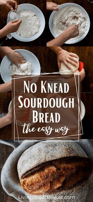 No Knead Sourdough Bread, No Knead Sourdough, Bread Lame, San Francisco Style, Wild Yeast, Dough Scraper, Dough Ingredients, Bread Baker, Loaf Recipes