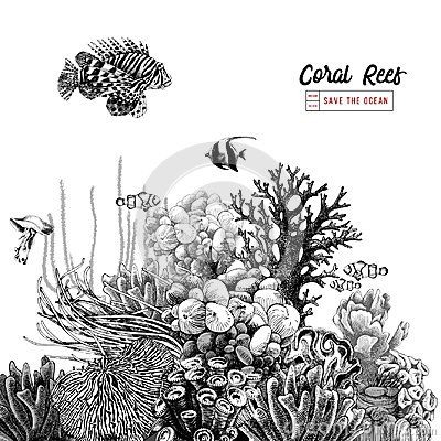 Coral Reef Drawing, Coral Tattoo, Coral Drawing, Monochrome Background, Ocean Tattoos, Fish Vector, Tatuaje A Color, Black And White Background, Tropical Fish