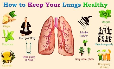 Adopting a certain healthy lifestyle can help maintain the health of your lungs better, and keep them working optimally.    Follow these t... How To Protect Your Lungs, How To Keep Your Lungs Healthy, How To Open Up Your Lungs, Pulmonary System, Best Cough Remedy, Natural Decongestant, Asthma Relief, Lung Health, Healthy Lungs