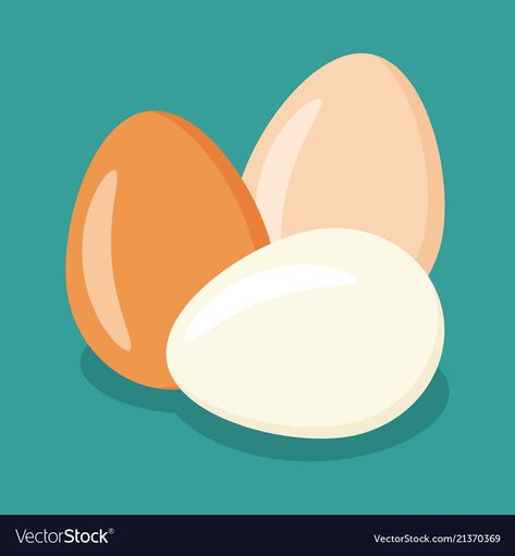 Chicken Egg Breakfast, Egg Illustration Design, Eggs Illustration, Egg Project, Egg Illustration, Dog Infographic, Eggs Image, Egg Vector, Illustration Art Design