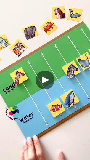 46K views · 628 reactions | Discover the fun of learning with our Land or Water Play printable! 🐾🌊 This engaging activity helps kids develop fine motor skills and expand their vocabulary by sorting animals into their correct habitats.

Easy to set up and perfect for home or classroom use. Download now from our store and make learning fun for your little ones!

#chanafavors #learningisfun #kidslearning #earlylearning #preschool #earlychildhoodeducation #playandlearn #kidsactivities #toddleractivities #finemotorskills #playideas #preschoolactivities | Chanafavors | Jayme Stone · Mighty Calypso Animals And Their Habitats Preschool, Sorting Animals Preschool, Land And Water Animals Activities, Pet And Wild Animals Sorting Activities, Animal Habitats Preschool Activities, Animal Habitat Preschool Activities, Animals Sorting Activities, Wild Animal Activity Preschool, Animals Habitats Activities