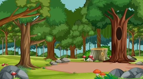 Jungle Cartoon, Forest Cartoon, Cartoon Garden, Animation Ideas, Photoshop Backgrounds Backdrops, Forest Backdrops, Forest Plants, Forest Background, Scenery Background