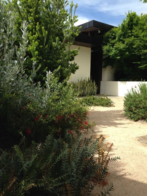 Warm textures and colours in Cameron Paterson's Australian garden Contemporary Garden, Beach House Garden, Australian Gardens, Contemporary Gardens, Australian Garden Design, Bush Garden, Native Gardens, Australian Native Garden, Courtyard Gardens