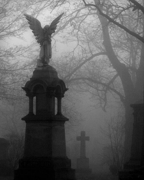 eerie creepy photos | Haunting and Eerie | Creepy, Spooky Places Angel Statue, An Angel, Cemetery, Trees, Angel, Statue