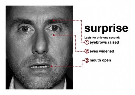 surprise Facial Action Coding System, Reading Body Language, Face Reading, Tim Roth, Nonverbal Communication, Lie To Me, Face Expressions, Human Emotions, Human Anatomy