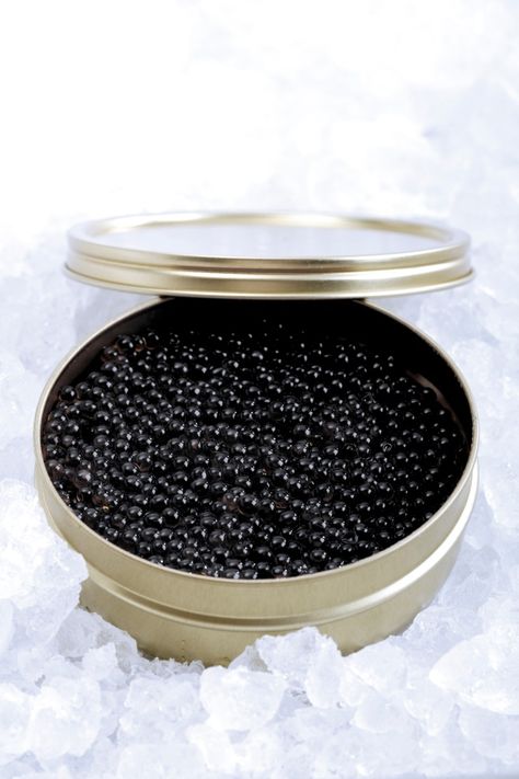 RUSSIAN firms will be banned from selling caviar, wood and silver to Britain under a new trade crackdown. Vladimir Putin and his Ukraine invasion partner Belarus will also face high tariffs on diamonds and rubber. Foreign Secretary Liz Truss said: “Today’s sanctions hits the generals and defence companies that have blood on their hands.” A […] Beluga Caviar, Fish Ball, Fancy Food, Black Caviar, Fried Fish, Health Benefits, A Table, Ukraine, Healthy Lifestyle