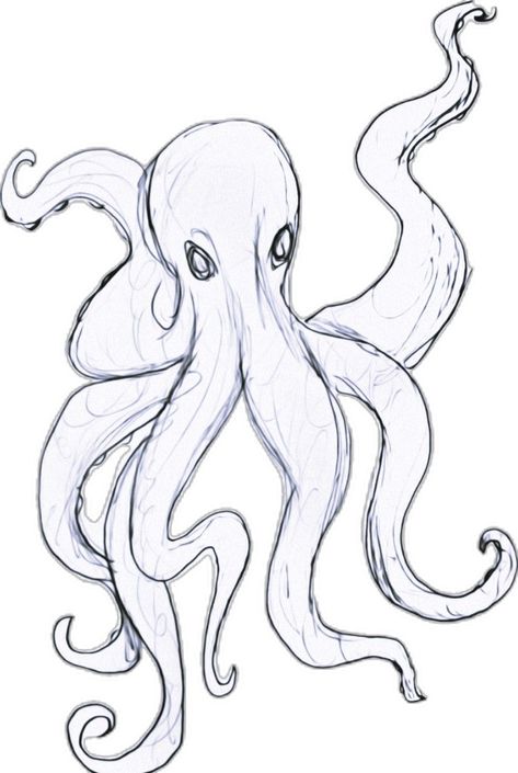 Creature Drawing Ideas, Sea Creatures Drawing Easy, Sea Creature Drawing, Octopus Sketch, Creatures Drawing, Sea Creatures Drawing, Fish Sketch, Octopus Drawing, Sea Drawing