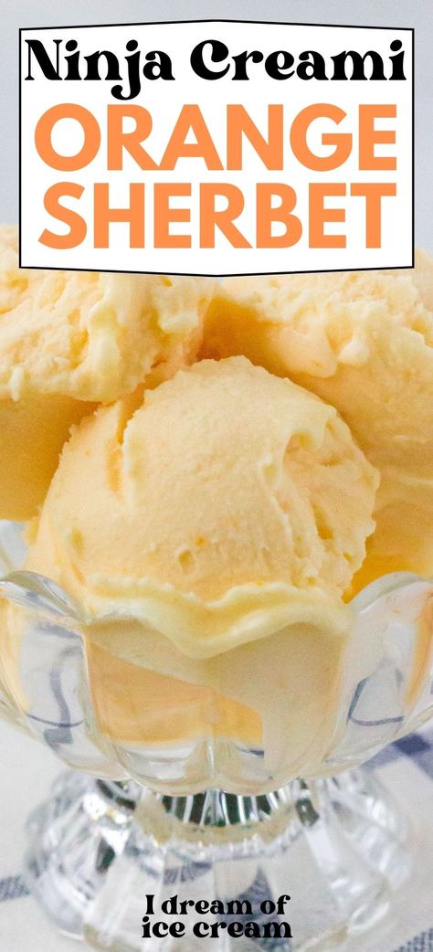 Orange Sherbet Recipe, Ninja Ice Cream Recipe, Homemade Sorbet, Sherbet Ice Cream, Sherbet Recipes, Orange Ice Cream, Orange Sorbet, Ice Cream Maker Recipes, Creamy Recipes