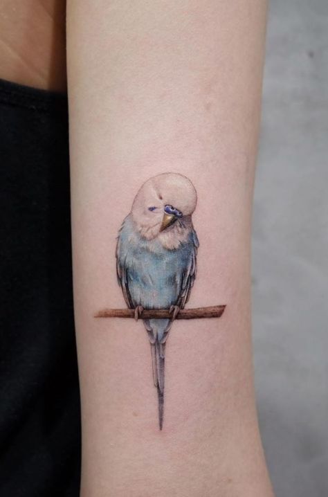 First Tattoo Ideas, Parrot Tattoo, Artwork Tattoo, Special Tattoos, Infinity Tattoos, The Sweetest Thing, Bird Tattoo, Cute Bird, Feather Tattoos