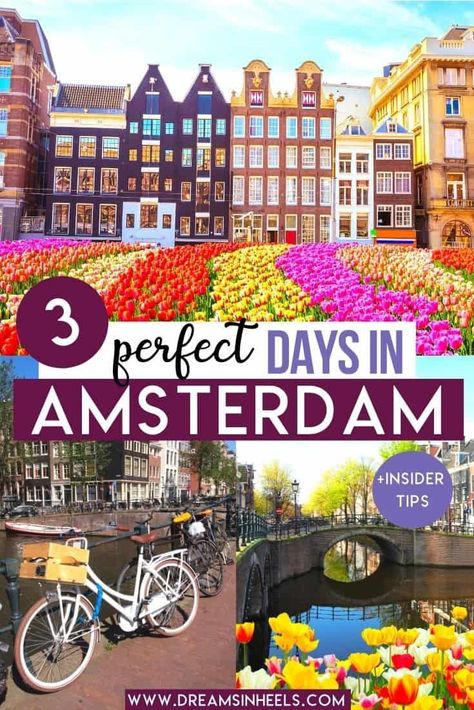 Amsterdam Things To Do, Amsterdam Travel Tips, 2 Days In Amsterdam, What To Do In Amsterdam, 3 Days In Amsterdam, Amsterdam Itinerary, Amsterdam Travel Guide, Amsterdam Photography, Things To Do In Amsterdam