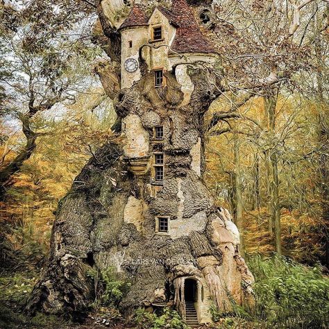 Abandoned Treehouse, Hobbit Garden, Houses Art, Mysteries Of The World, Egypt History, Hobbit House, Mystery Of History, Tree Houses, Fantasy Places