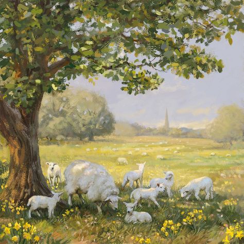 Sheep Oil Painting, Spring Landscape Paintings, Sheep Aesthetic, Lamb Painting, Sheep Paintings, Green Pastures, Farm Paintings, Advocate Art, Cottage Art