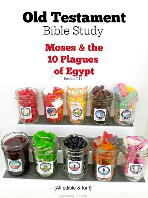 Exodus Plagues Craft, Moses Bible Lesson, 12 Plagues Of Egypt Craft, Ten Plagues Activity, Moses Object Lesson, Bible Sensory Activities, Moses And The Plagues Craft, Ten Plagues Craft, Moses Activities