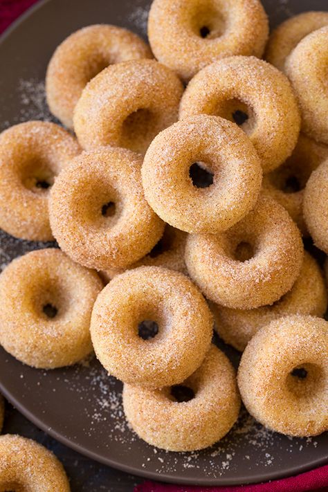 Baked Cinnamon Sugar Mini Donuts - Do you remember those little frozen Morton cinnamon donuts??  OMG!  They were so good!  These remind me of those so long ago... Clam Chowder New England, Donuts Donuts, Donut Recipe, Clam Chowder, Baked Donuts, Cooking Classy, Mini Donuts, Cake Donuts, Donut Recipes