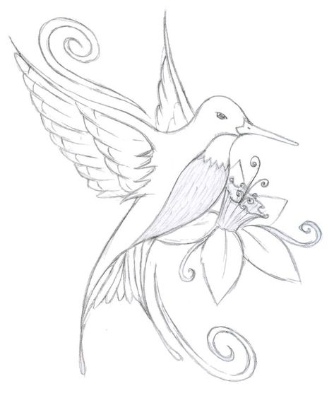 Hummingbird Coloring Pages ⋆ coloring.rocks! Hummingbird Sketch, Hummingbird Flower Tattoos, Hummingbird Colors, Hummingbird Drawing, Vogel Tattoo, Pencil Drawings Of Flowers, Flower Line Drawings, Hummingbird Flowers, Flower Tattoo Sleeve