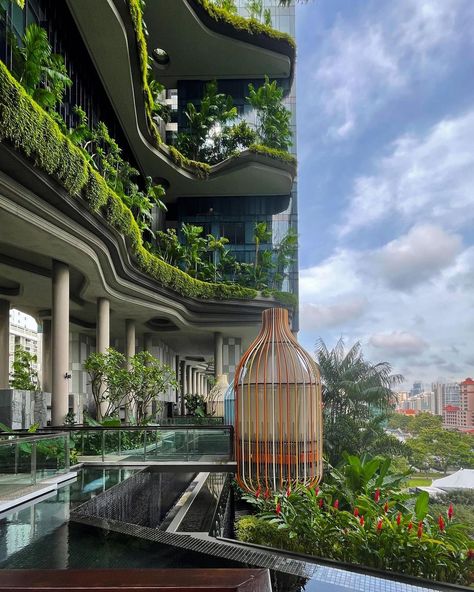 David Truong on Instagram: “Infinity pools only 🏊‍♂️ @parkroyalcollectionpickering” Eco Friendly Architecture Design, Modern Eco Architecture, Oasis Hotel Singapore, Interior Design Eco Friendly, Urban Oasis Interior, Urban Oasis Architecture, Green Space Architecture, Eco Urbanism, Park Royal Pickering