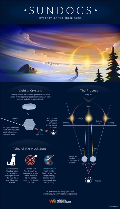 Science Infographics, Kuiper Belt, Weather Science, Astronomy Facts, Asteroid Belt, Sun Dogs, Info Board, Cool Science Facts, Space Facts