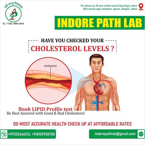 #CholesterolTest | #HealthyHeart | #LowerCholesterol | #HeartHealth | #HealthyLiving | #Prevention | #Pathology | #BloodTest | #HealthCheckup | #Wellness | #Fitness | #HealthyEating | #DietTips | #Exercise | #LifestyleChanges | #HealthScreening | #MedicalTests | #IndorePathLab |#HealthCare | Leveled Books, Lipid Profile, Cholesterol Levels, Health Check, Health, Books