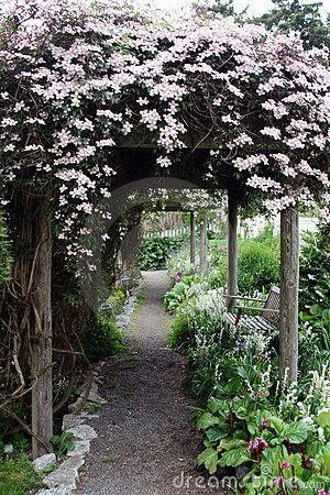 Clematis Covered Path Garden Pergolas, Pagoda Garden, Garden Arbor, Covered Pergola, The Secret Garden, Garden Pathway, Gorgeous Gardens, Garden Soil, Garden Gates