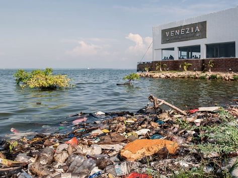 water-pollution-in-caracas Causes Of Water Pollution, Effects Of Water Pollution, تلوث المياه, Pollution Poster, Air Pollution Poster, Twenty Dollar Bill, Conserve Energy, Book Photography Instagram, Water Pollution