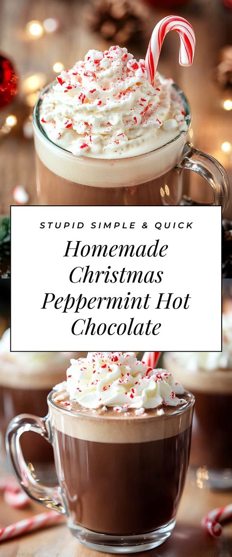 Image for Homemade Christmas Peppermint Hot Chocolate Peppermint Mocha Hot Chocolate, White Peppermint Hot Chocolate, Hot Chocolate Recipes Christmas, Hot Cozy Drinks, Homemade Peppermint Hot Chocolate, Christmas Cocoa Recipe, Homemade Hot Chocolate Mix Recipe Easy, Yummy Hot Chocolate Recipes, Christmas Eve Creamy Crockpot Hot Cocoa