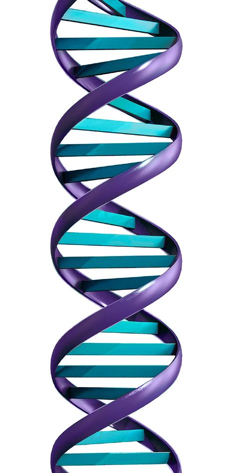 DNA molecule, resembling long twisted ladder with rungs Microbiology Study, James Watson, Dna Molecule, Viktor Frankl, Biology Facts, Human Language, Ancient Pottery, Ancient Maps, Study Material