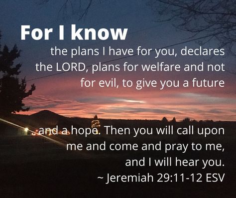 Pictures a sunrise with scripture Jeremiah 29:11-12 Jeremiah 29:11-12, Black Living Room Decor, Black Living, Black Living Room, Jeremiah 29, I Know The Plans, Inspirational Bible Verses, Have Faith, Faith Quotes