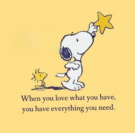 Peanuts Cartoon Quotes, Peanuts Quotes, Inspirational Quotes Encouragement, Hug Quotes, Quotes Encouragement, Snoopy Funny, Snoopy Quotes, Snoopy Pictures, Pooh Quotes