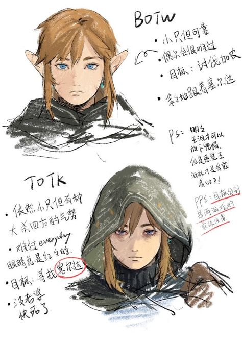 Link Concept Art, All Spiderman, Botw Zelda, Link Zelda, Have Inspiration, Zelda Art, Legend Of Zelda Breath, Twilight Princess, 영감을 주는 캐릭터