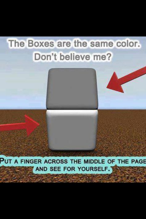 Cool Illusions Mind, Color Optical Illusions, Amazing Optical Illusions, Friday Pictures, Eye Tricks, Cool Illusions, Cool Optical Illusions, Visual Illusion, Brain Tricks