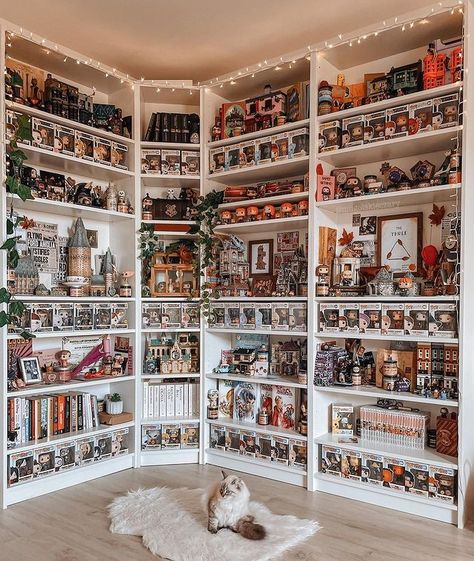 Big white shelf with a big Harry Potter collection. Everything is well organized and aesthetic. There is a white fluffy cat on a white carpet. There are funko pops on the shelf, there are books and decoration. Funko Bookshelf, Lots Of Shelves, Funko Display Ideas, Harry Potter Display, Lego Display Ideas, Funko Pop Display, Nerd Room, Harry Potter Room Decor, Harry Potter Funko Pop