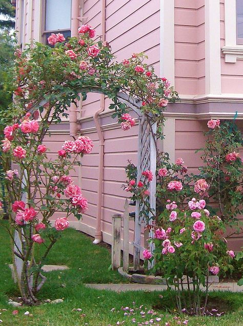 "She doesn't like anyone who won't walk under her roses."  WHERE did I hear this?  Some book or movie? Rose Arbor, Pink Cottage, Colorful Roses, Pink Garden, Climbing Roses, Pink Houses, Rose Cottage, Garden Cottage, Garden Gates