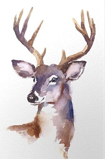 Watercolor Deer Painting Tutorial, Watercolor Art Ideas Animals, Watercolour Deer Painting, How To Watercolor Animals, The Natural World Art, Watercolor Ideas Animals, Dear Watercolor, Waterpaint Christmas Card, Watercolour Stag