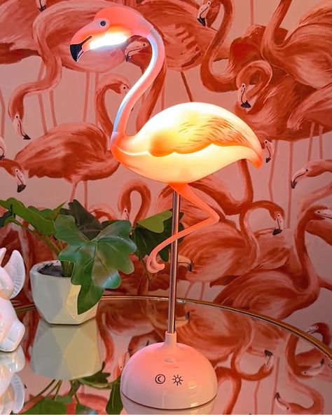 Enjoy a FREE set of Flamingo String Lights with every purchase of our Flamingo Touch Desk Lamp! 🦩✨ Claim Yours Now - Product tagged in photo and website link in bio! Tropical Lights, Touch Desk, Flamingo Diy, Calm Night, Festival Themed Party, Flamingo Stuff, Flamingo Decor, Clever Gift, Flamingo Bird