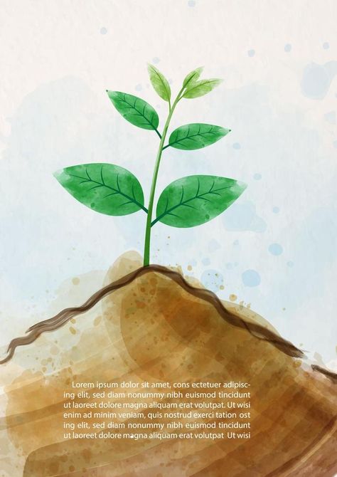 Image of small plant growing in a soil and draw in water colors style on white paper pattern background. Card and poster's campaign of world soil day in vector design. Soil Drawing, World Soil Day, Grow Social Media, Buddhist Art Drawing, Journal Inspiration Writing, Social Media Drawings, Plant Growing, Bullet Journal Lettering Ideas, Plant Drawing