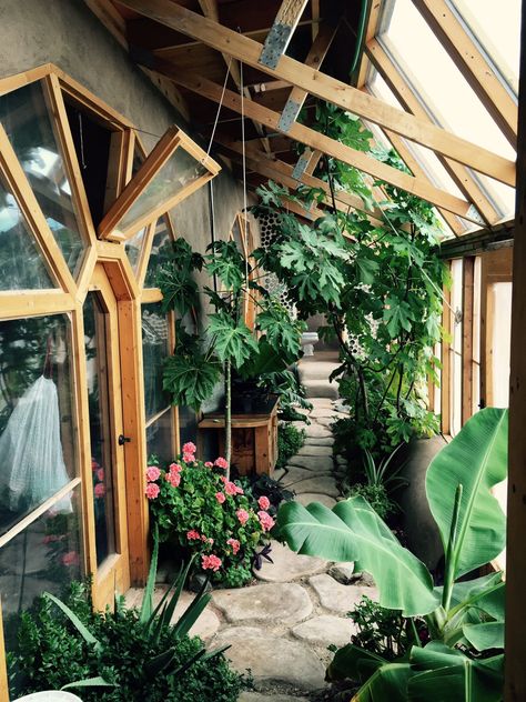 Earthship Biotecture, Casa Hobbit, Lots Of Plants, Interior Boho, Earthship Home, Cob House, Earth Homes, Construction Drawings, Natural Building